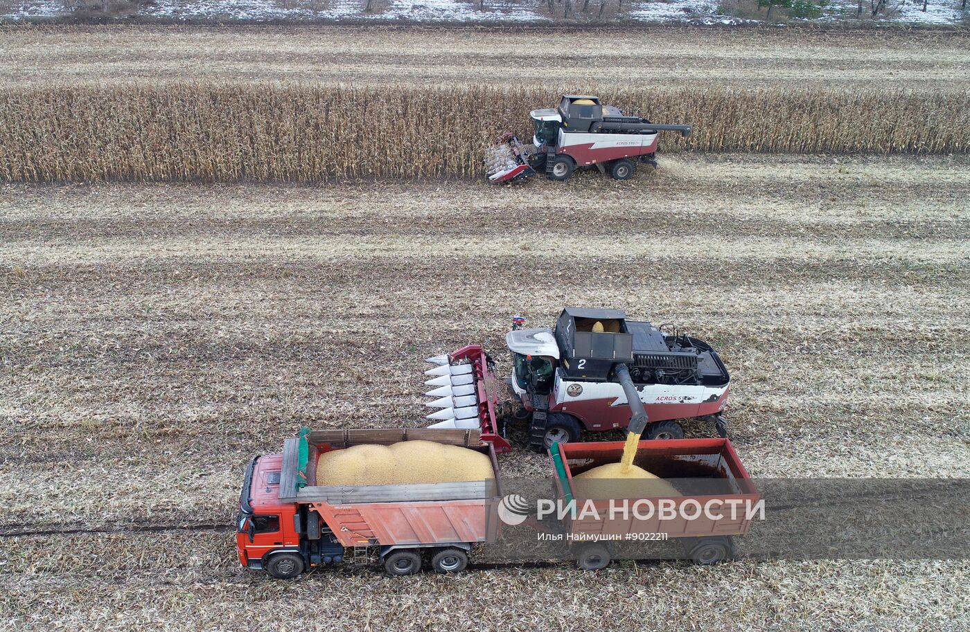 Фермерское хозяйство в Красноярском крае