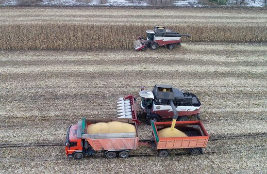 Фермерское хозяйство в Красноярском крае