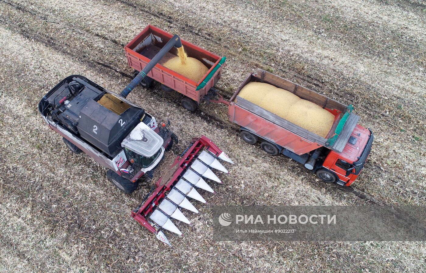 Фермерское хозяйство в Красноярском крае