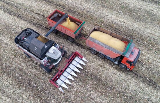 Фермерское хозяйство в Красноярском крае