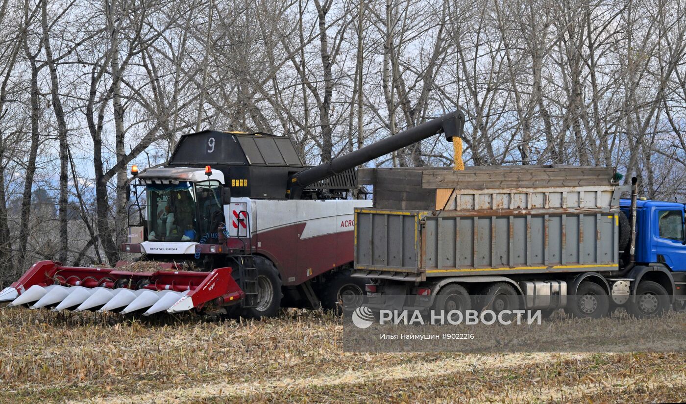 Фермерское хозяйство в Красноярском крае
