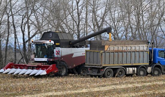 Фермерское хозяйство в Красноярском крае