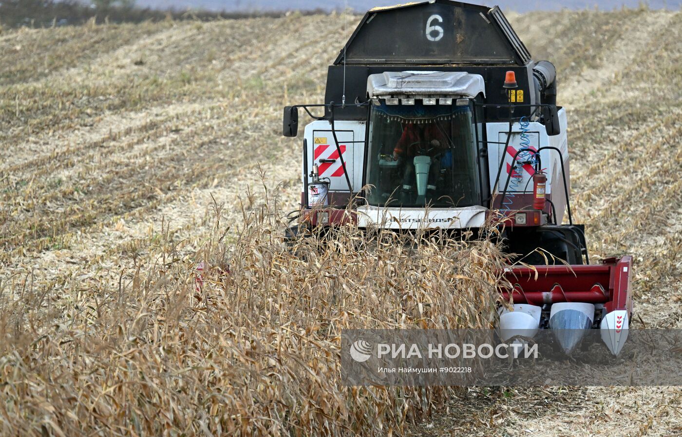 Фермерское хозяйство в Красноярском крае