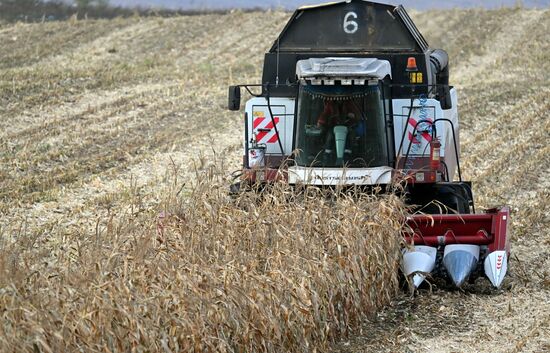 Фермерское хозяйство в Красноярском крае