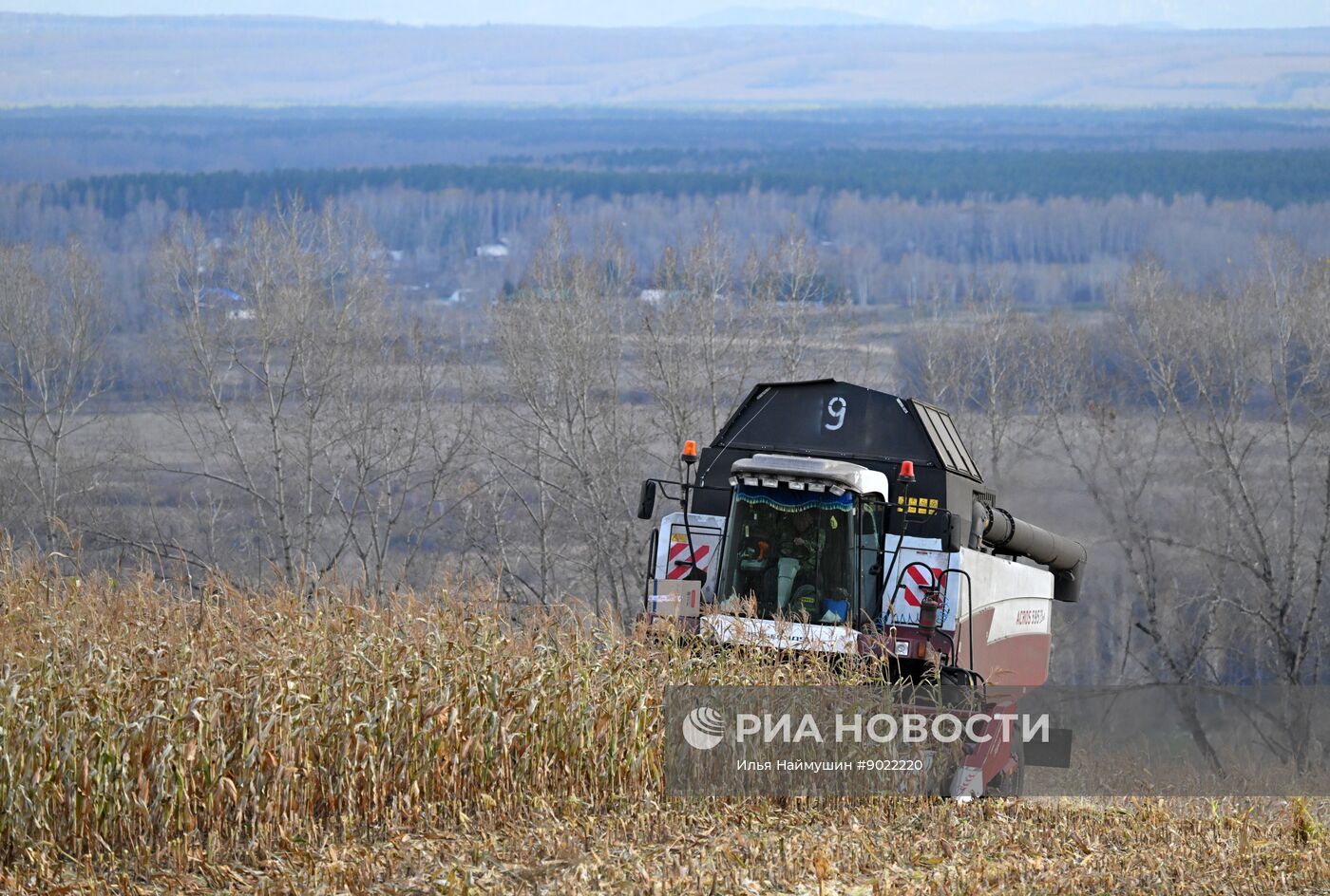 Фермерское хозяйство в Красноярском крае