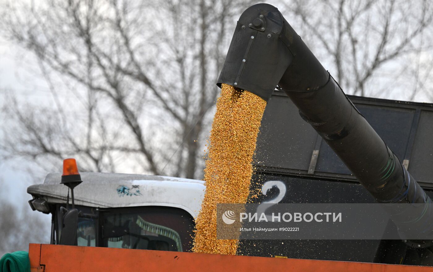 Фермерское хозяйство в Красноярском крае