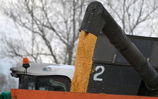 Фермерское хозяйство в Красноярском крае