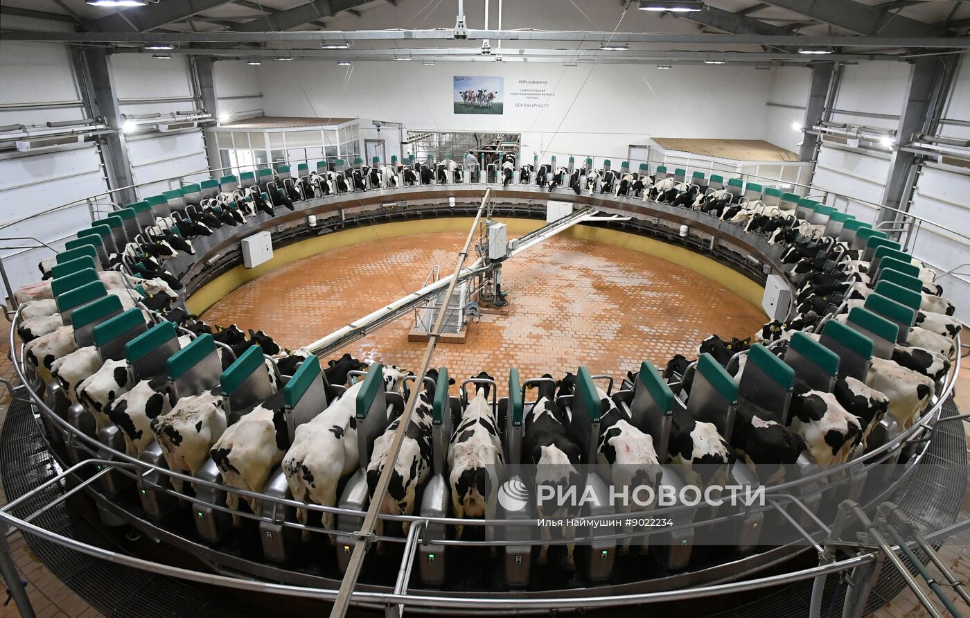 Фермерское хозяйство в Красноярском крае