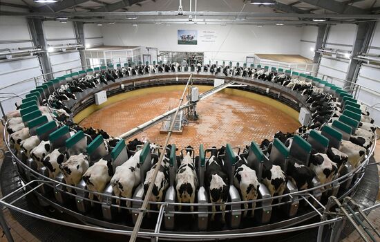 Фермерское хозяйство в Красноярском крае