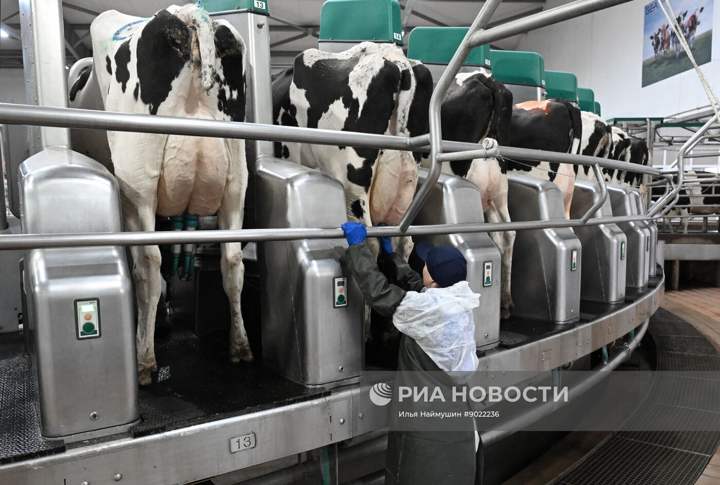 Фермерское хозяйство в Красноярском крае