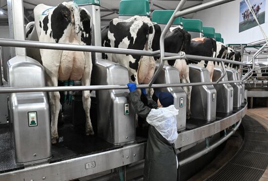 Фермерское хозяйство в Красноярском крае