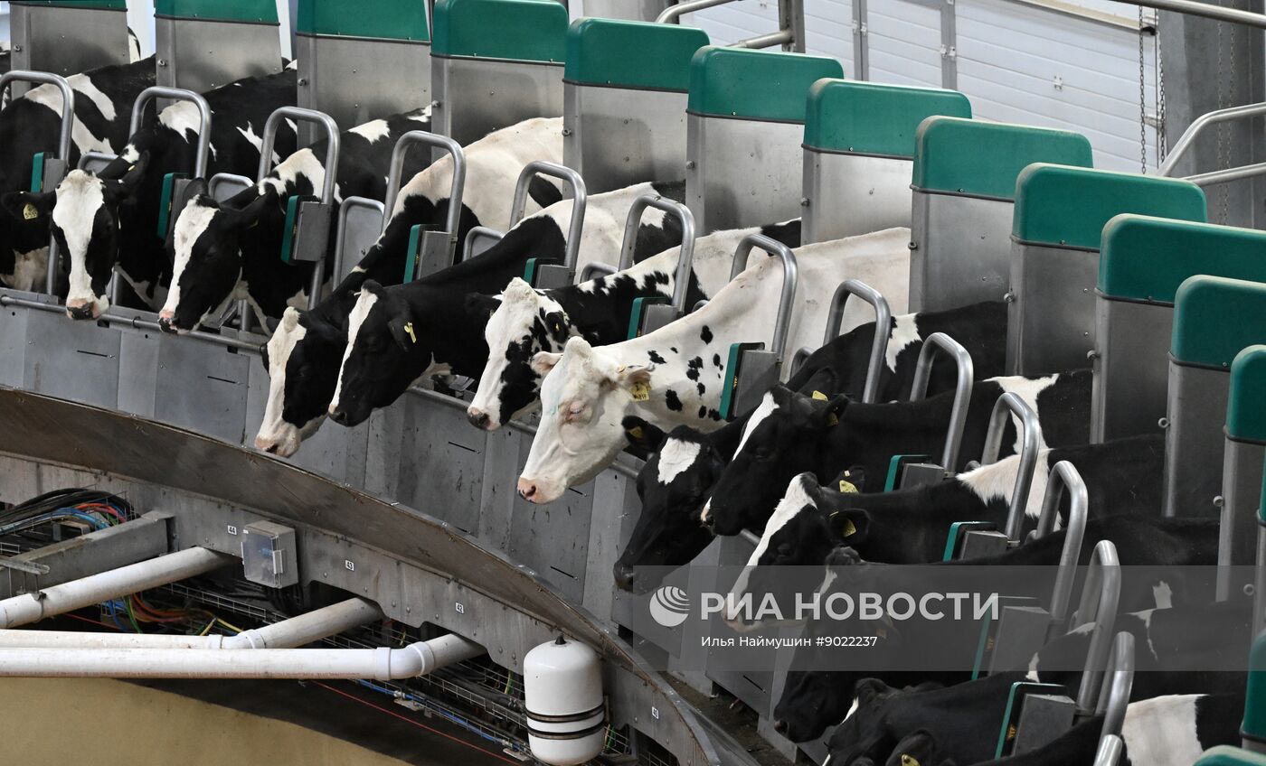 Фермерское хозяйство в Красноярском крае