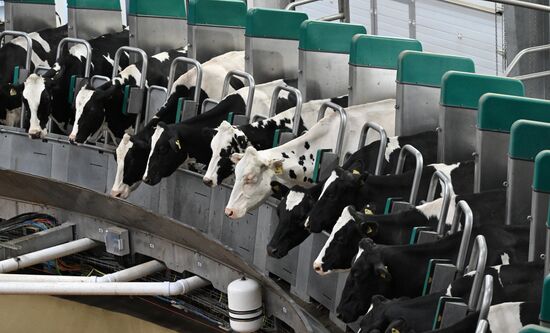 Фермерское хозяйство в Красноярском крае