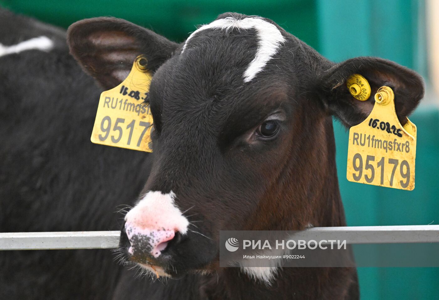 Фермерское хозяйство в Красноярском крае