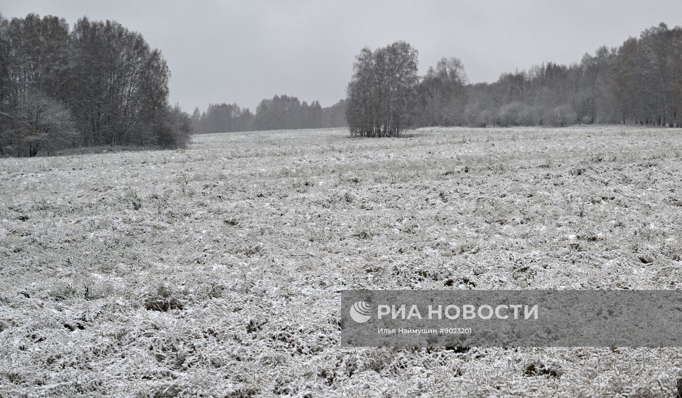 Осень в Сибири