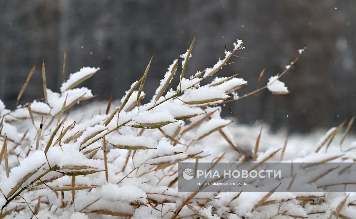 Осень в Сибири