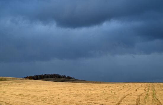 Осень в Сибири