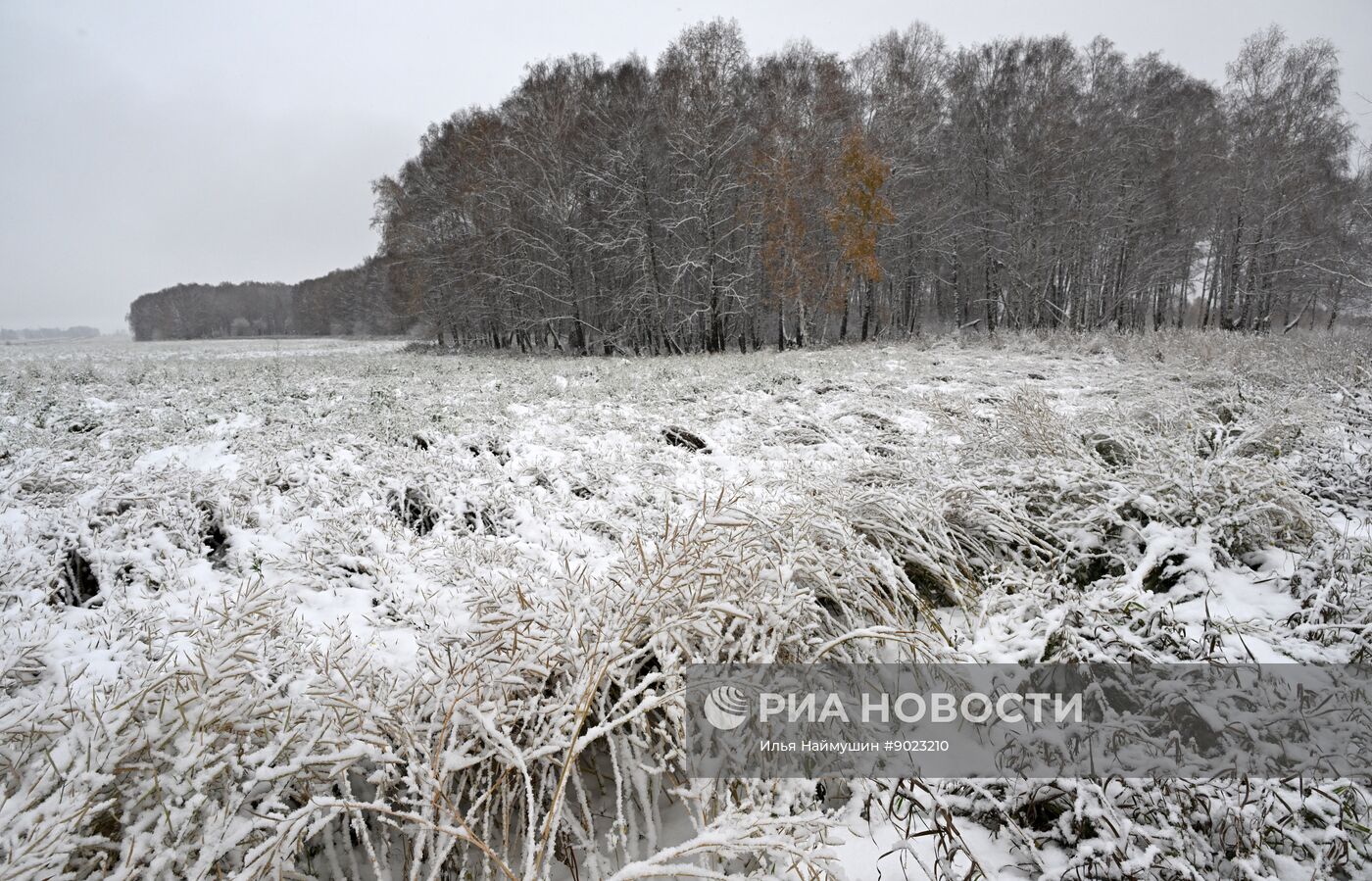 Осень в Сибири