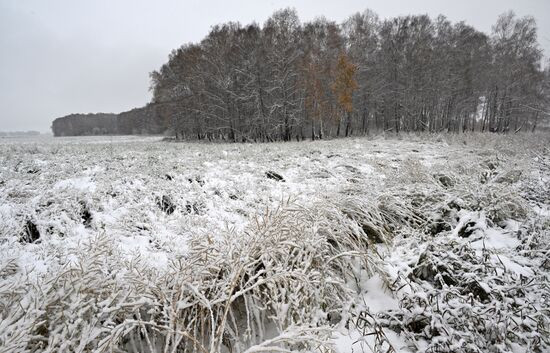 Осень в Сибири