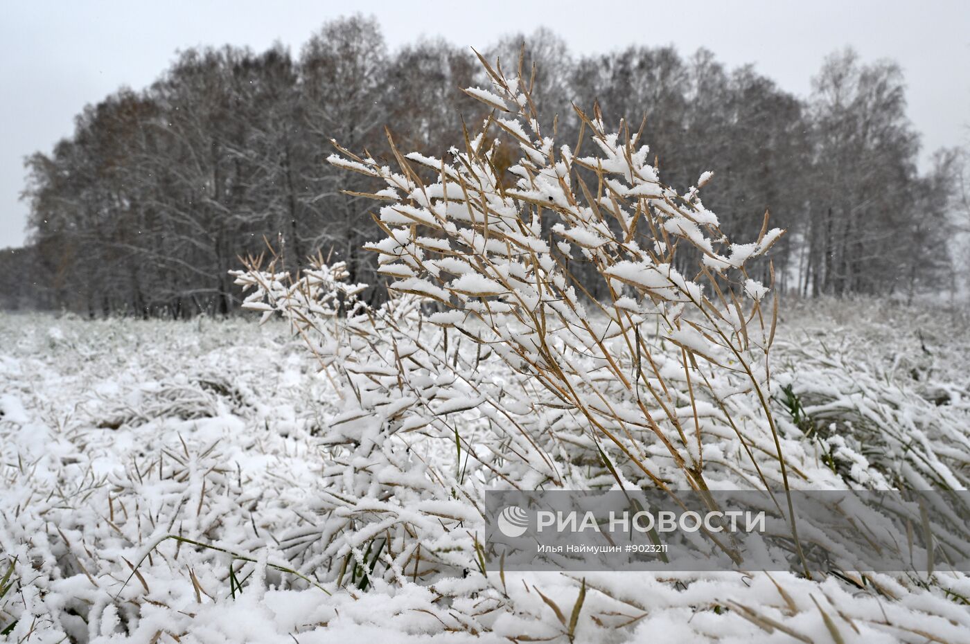 Осень в Сибири