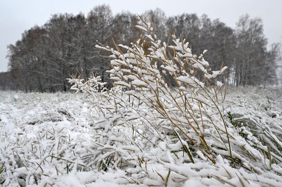 Осень в Сибири