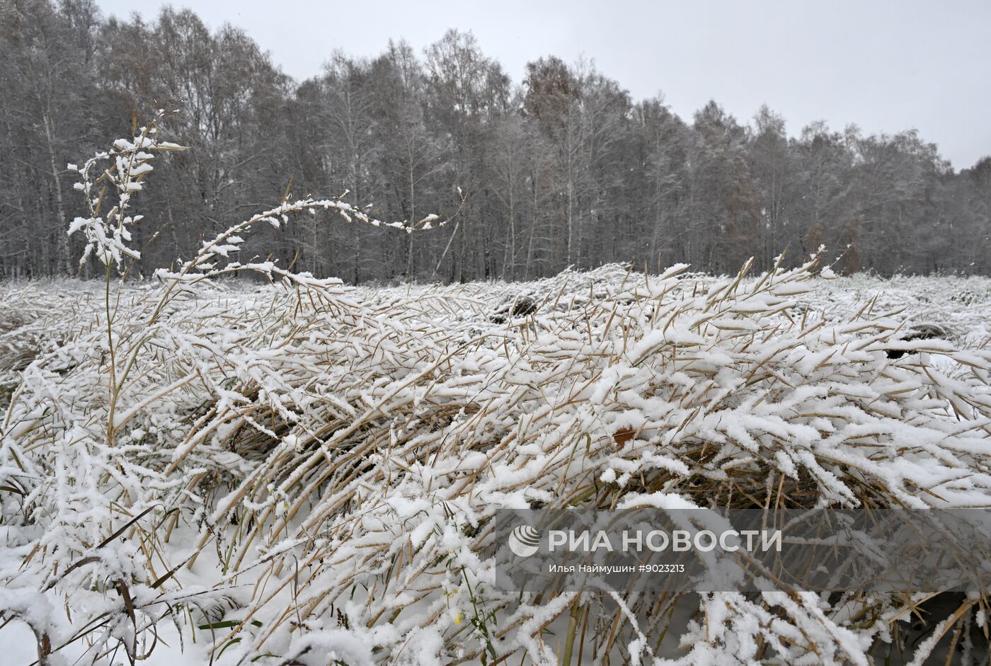Осень в Сибири