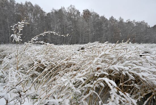 Осень в Сибири