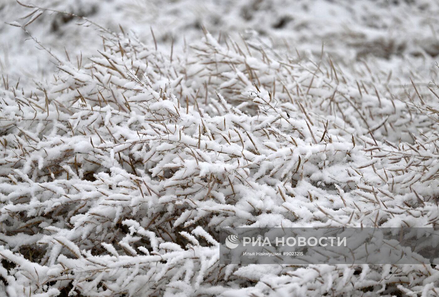 Осень в Сибири