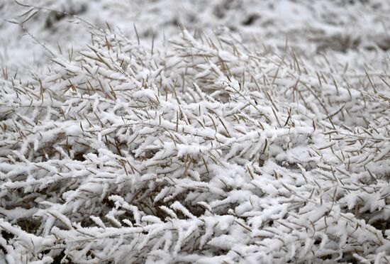 Осень в Сибири