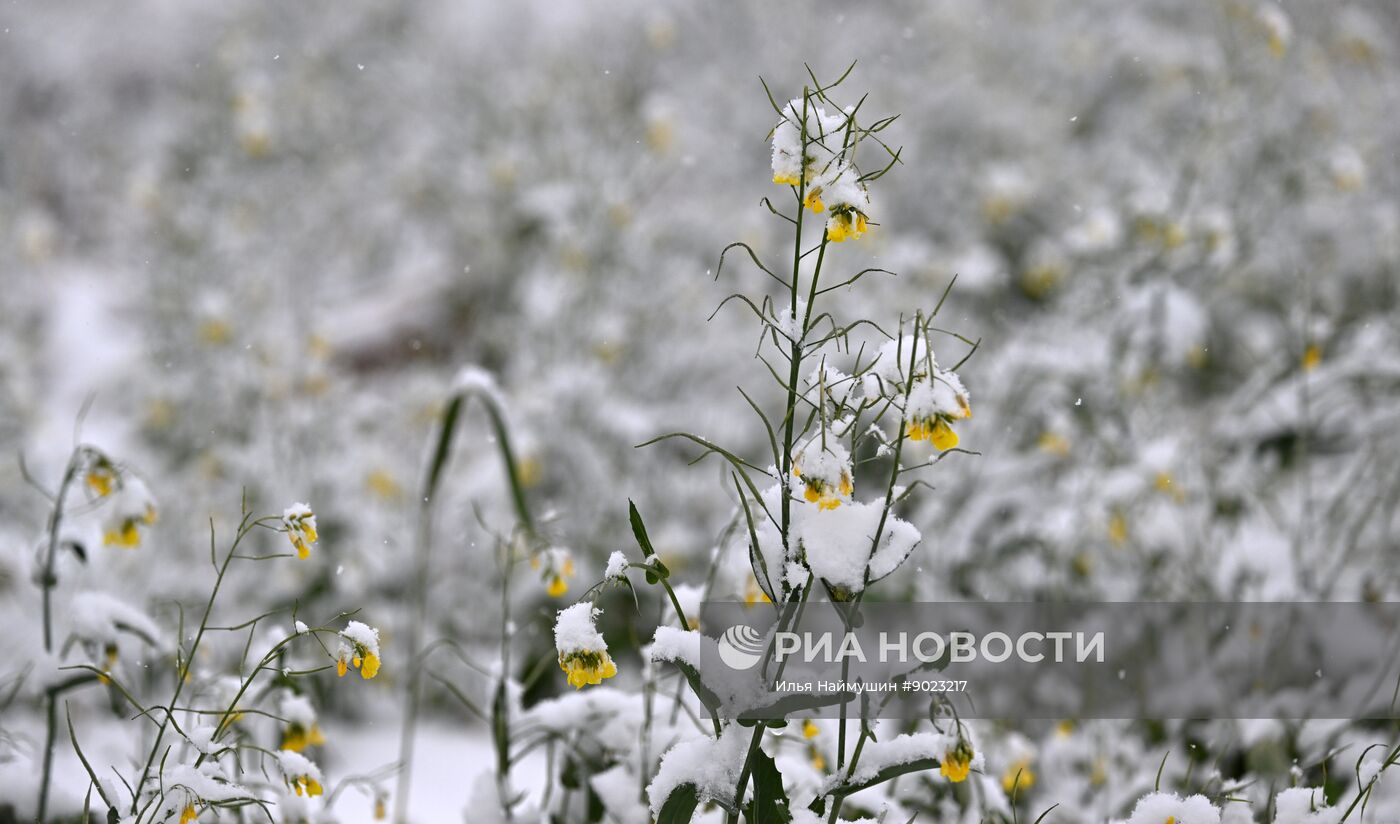 Осень в Сибири
