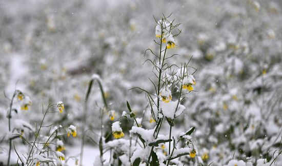 Осень в Сибири
