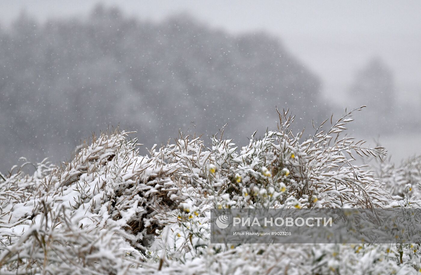 Осень в Сибири
