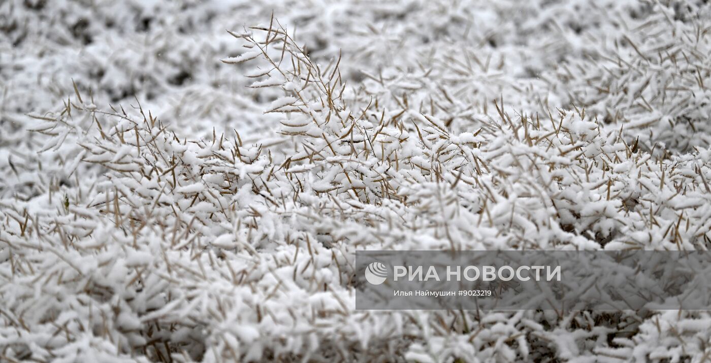 Осень в Сибири