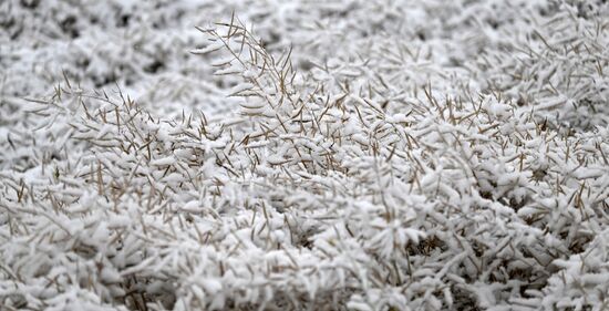 Осень в Сибири