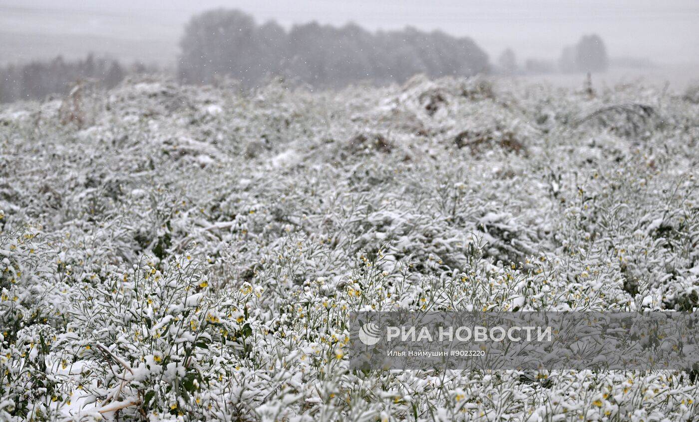 Осень в Сибири