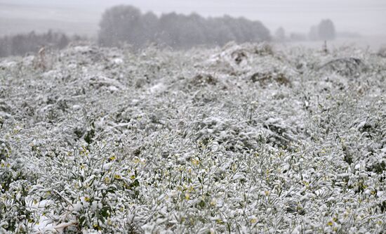 Осень в Сибири