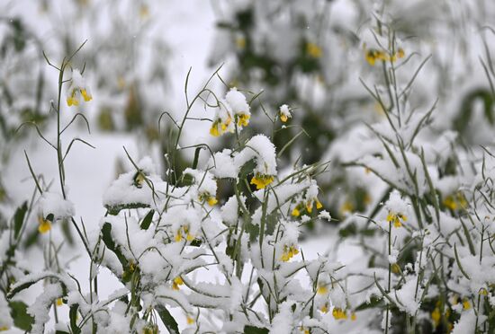 Осень в Сибири
