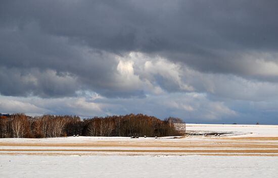 Осень в Сибири