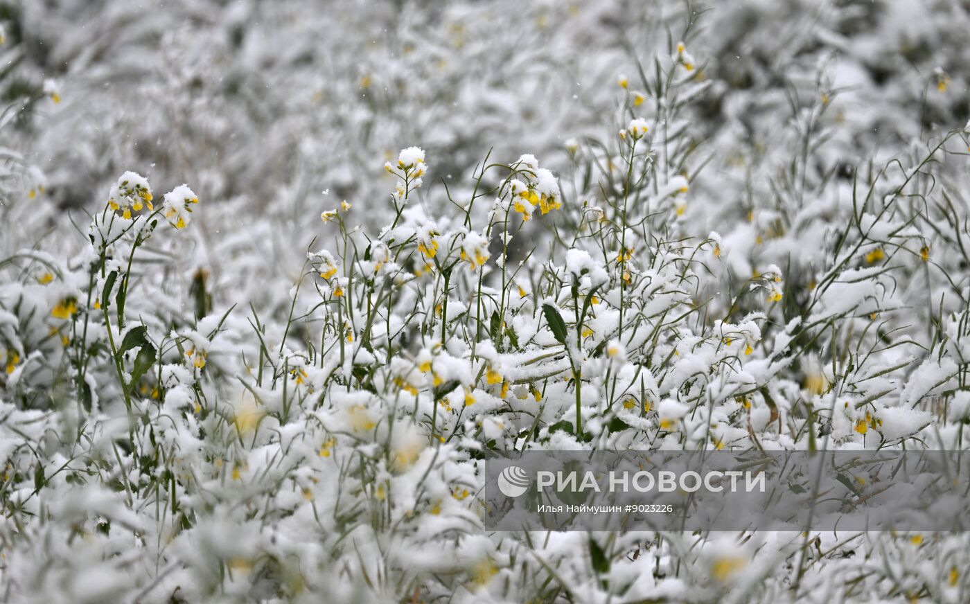 Осень в Сибири