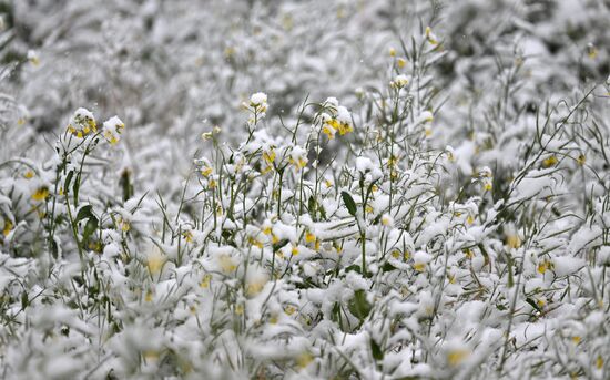 Осень в Сибири