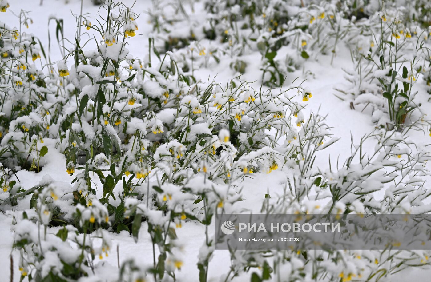 Осень в Сибири