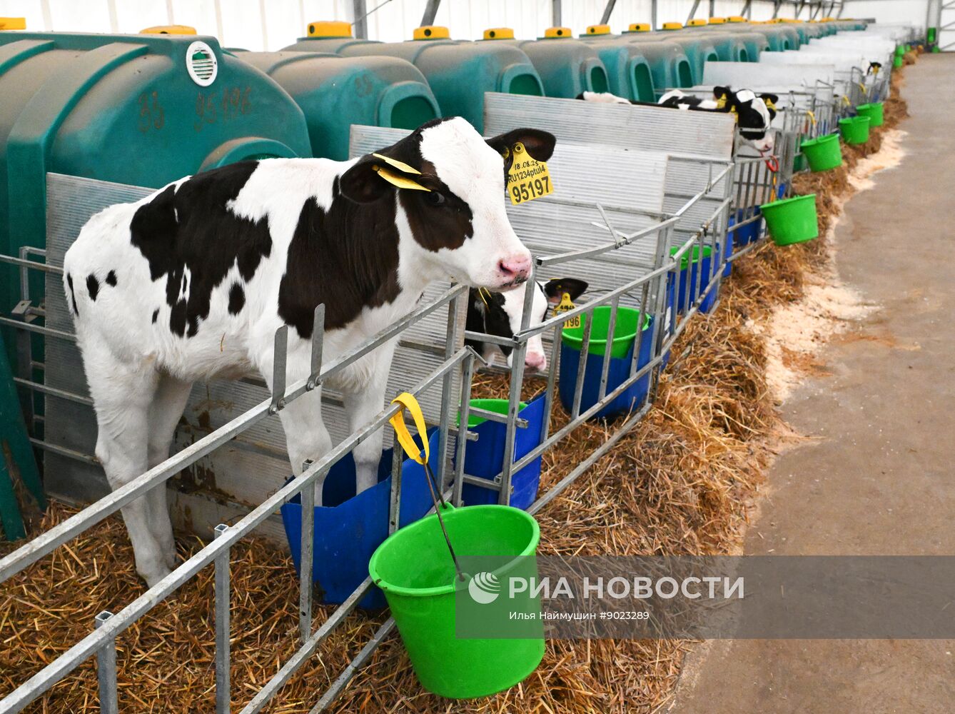 Фермерское хозяйство в Красноярском крае