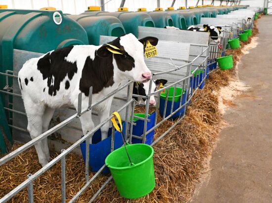 Фермерское хозяйство в Красноярском крае