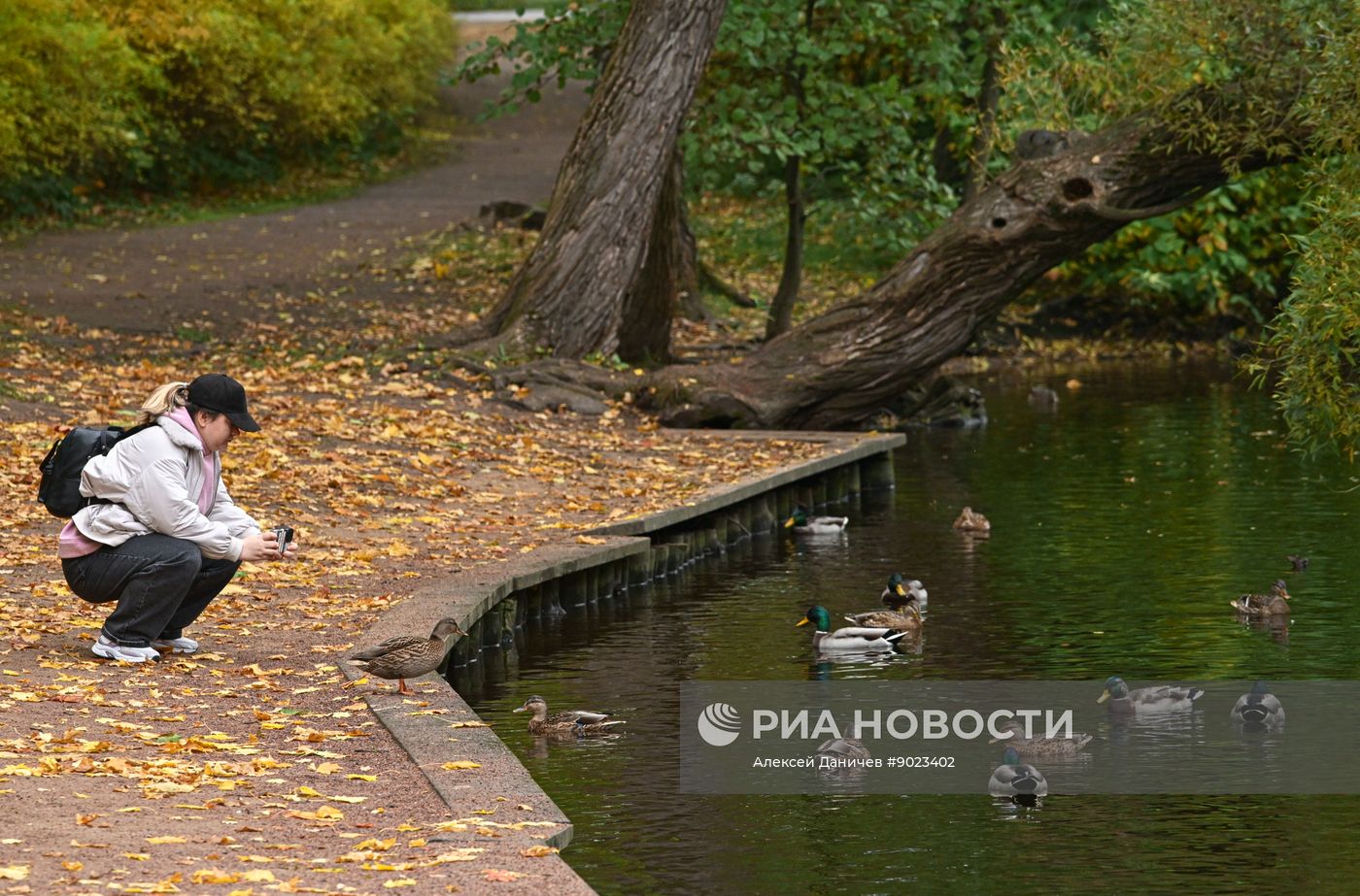 Осень в Санкт-Петербурге
