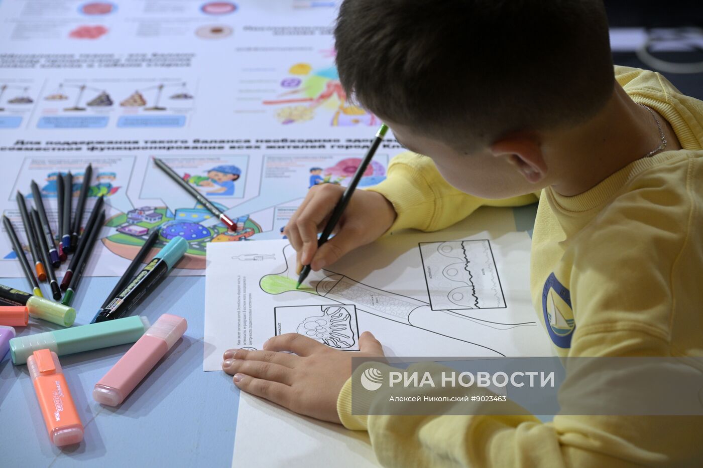 Международный фестиваль НАУКА 0+