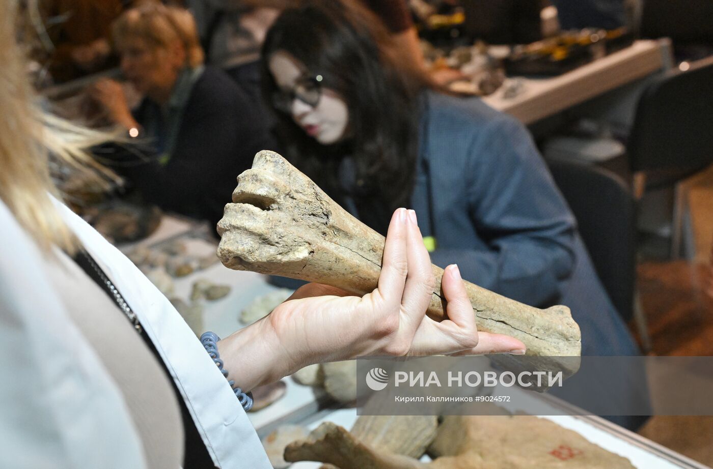 Международный фестиваль НАУКА 0+