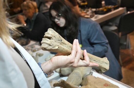 Международный фестиваль НАУКА 0+