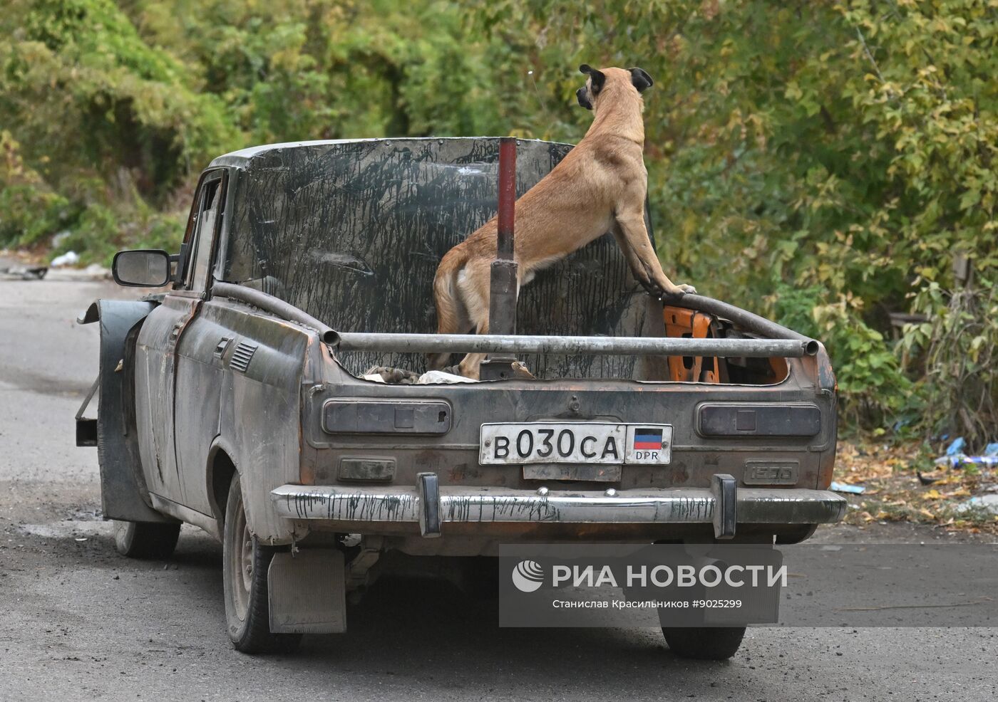 Фронтовые дороги СВО