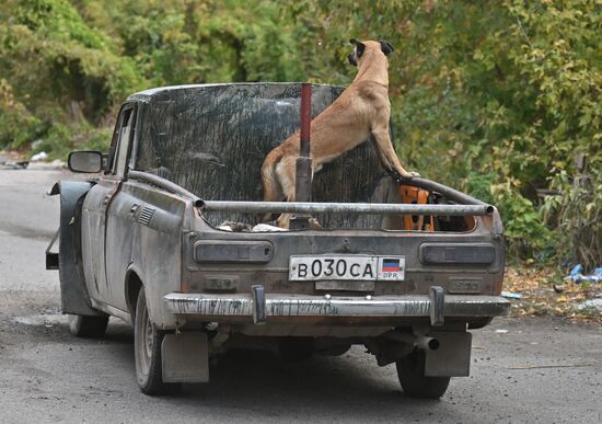 Фронтовые дороги СВО