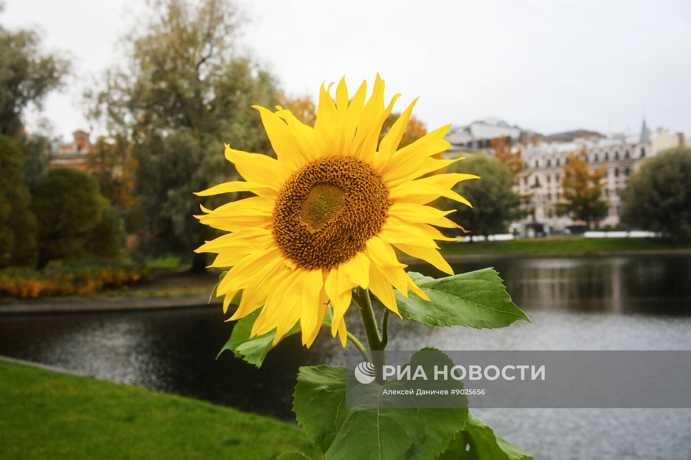 Осень в Санкт-Петербурге.